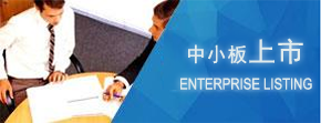 中小板上市